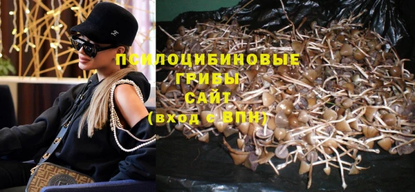 Альфа ПВП Горняк
