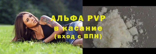 Альфа ПВП Горняк