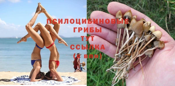 Альфа ПВП Горняк