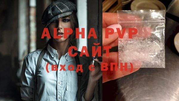 Альфа ПВП Горняк